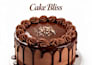 design a bakery flyer or cake poster